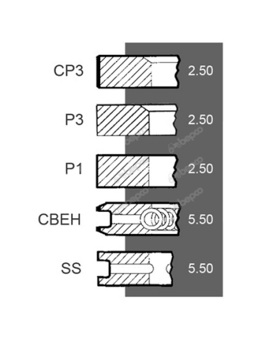 Set segmenti 0.002.5875.0 95mm pentru SDF