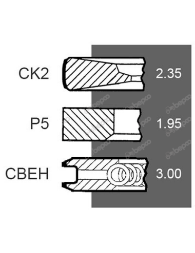 Set segmenti 04501092 101mm pentru motor Deutz-Fahr