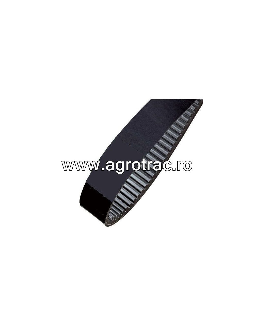 Curea Tagex 80364418 pentru New Holland Clayson