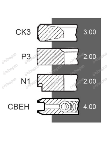 Set segmenti 7701201833 pentru Fendt Renault