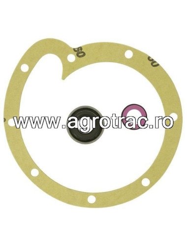 Set reparatie pompa apa 3055285R95 pentru Case IH