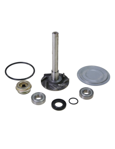 Set reparatie 41100060801 pentru pompa apa Steyr