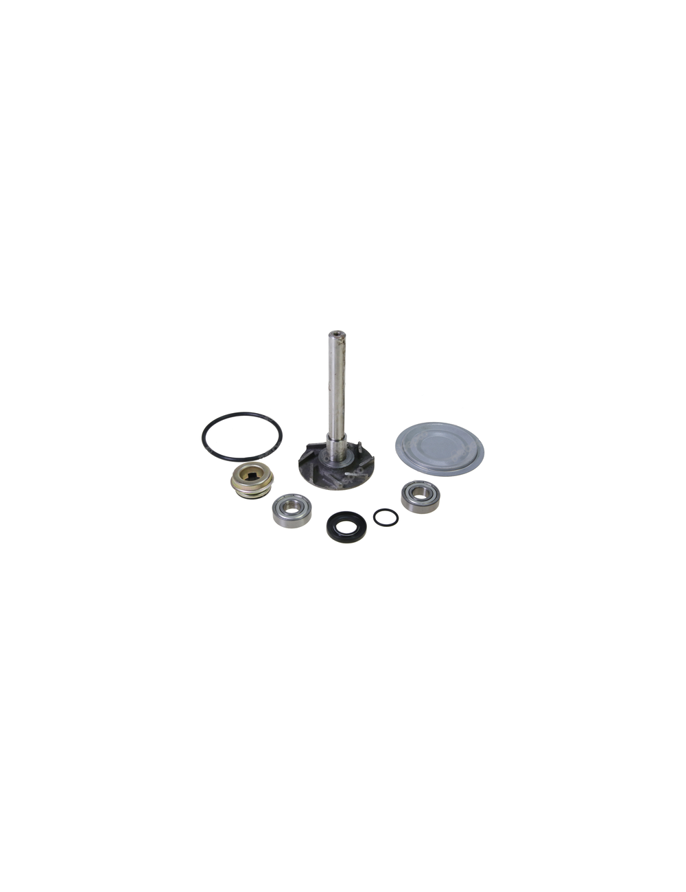 Set reparatie 41100060801 pentru pompa apa Steyr