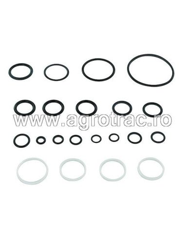 Set reparatie distribuitor F178960021020 pentru Fendt