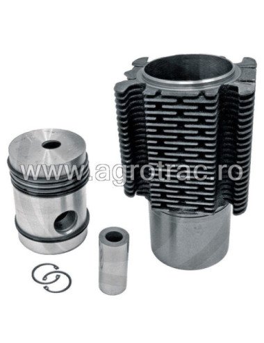 Set piston pentru motor MWM AKD311Z