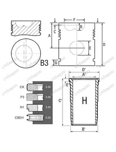 Set piston motor MWM D225