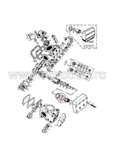 Colivie Holder Vogel&Noot 103903