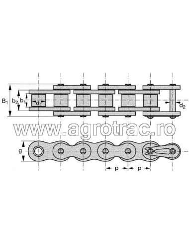 Lant cu role 24B-1 5m