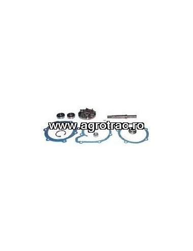 Set reparatie pompa apa 3641378M91 pentru Landini Massey Ferguson