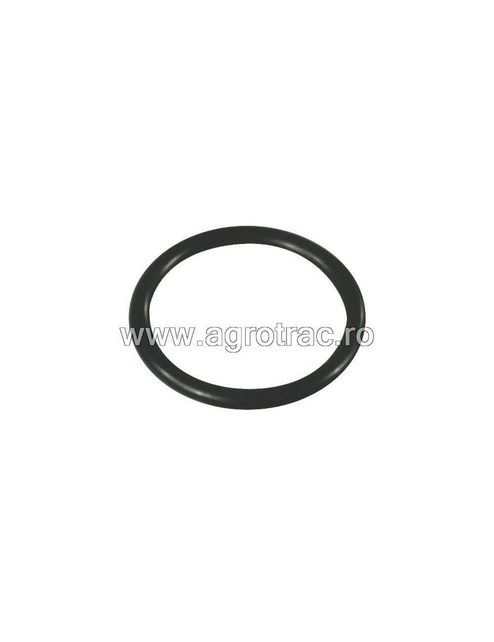 O-Ring 680070 Annovi Reverberi