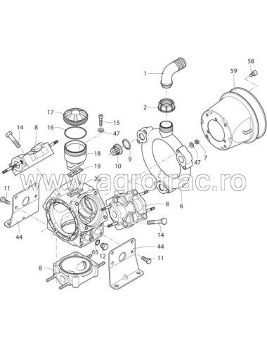 O-Ring 680070 Annovi Reverberi