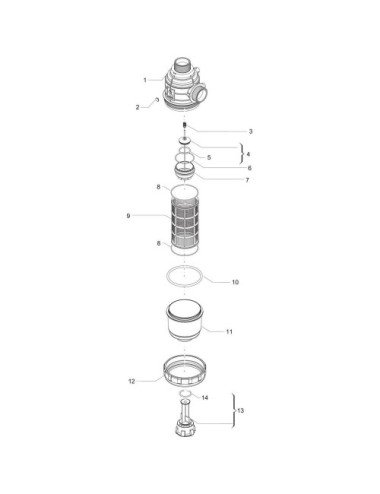 Filtru aspirare Arag 3142553 original filet 1 1/4''