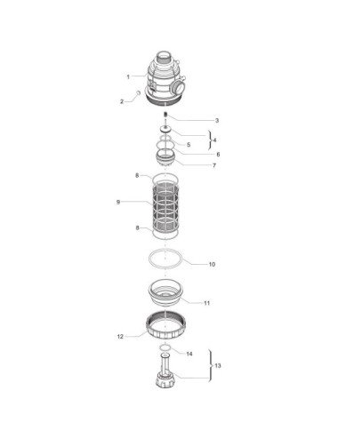 Filtru aspirare Arag 3172473 original filet 2''