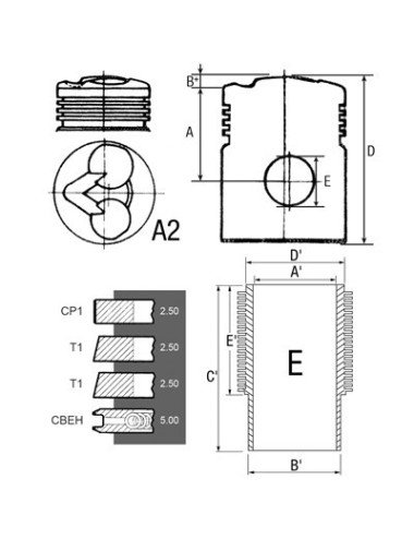 Set piston 02910303 pentru Motor Deutz FL812