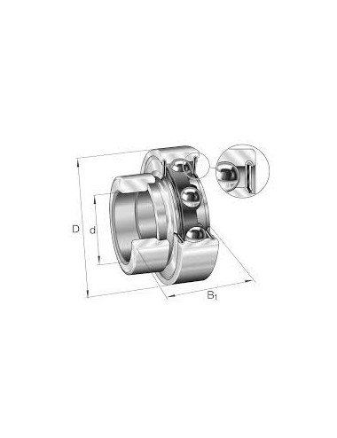 Rulment INA RAE15NPP-FA106