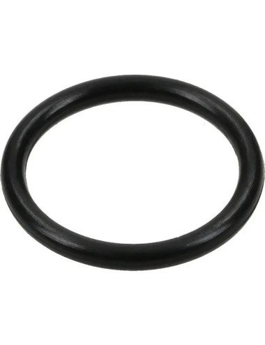 O-ring Arag G10031 13.1x2.62mm