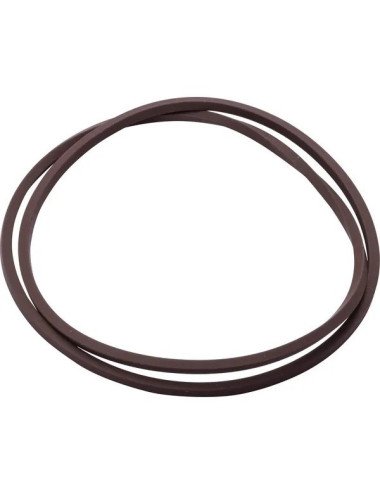 O-ring 5105534 pentru CNH din viton