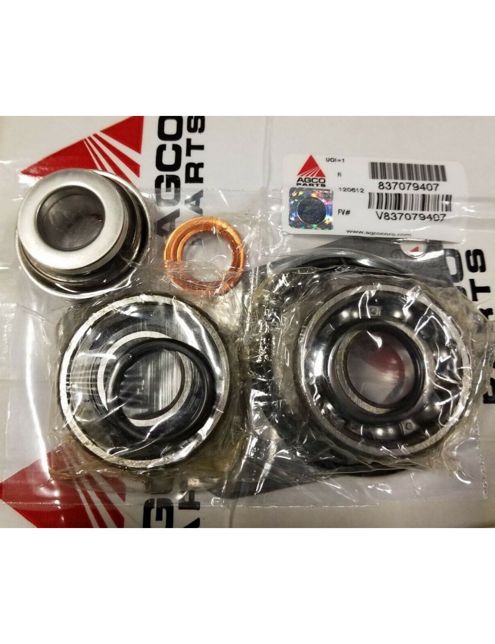 Set reparatie pompa apa Agco V837079407 pentru motor Sisu