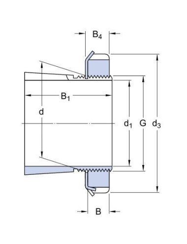 Bucsa filetata Fag H311