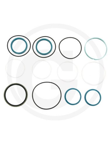 Set etansare Fendt F001990010620 original pentru cilindri de directie