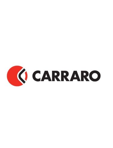 Cilindru directie Carraro 133581CAO4S original