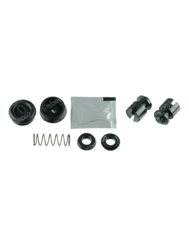 Set reparatie 1701030M91 pentru cilindru receptor frana la Massey Ferguson