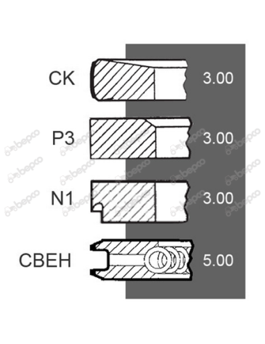 Set segmenti F135201310030 pentru motor MWM