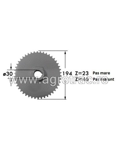 Pinion 1111/10432 pentru Sgorbati