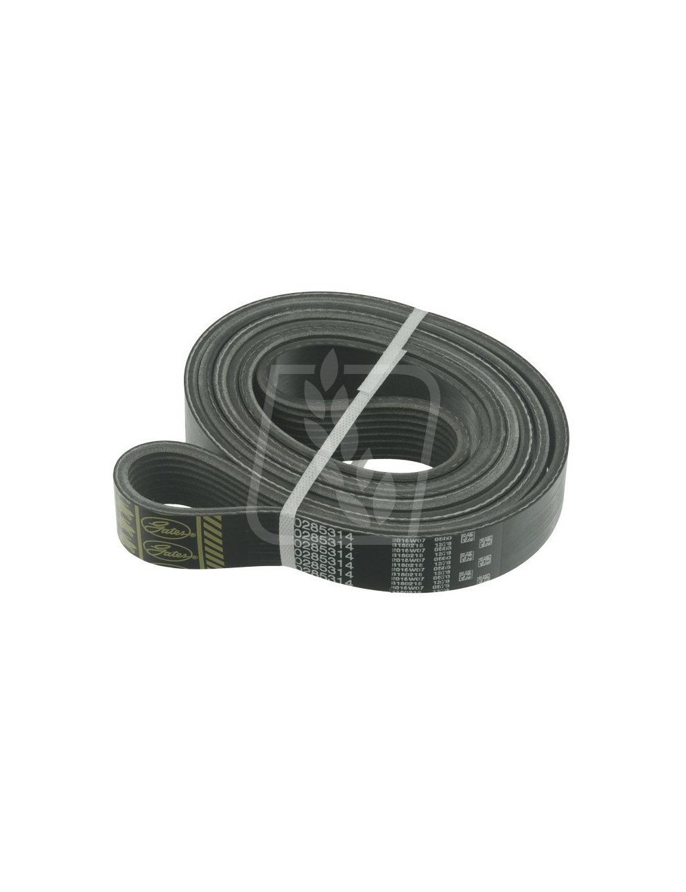 Curea Gates 8PK2060 Curea Gates 8PK2060