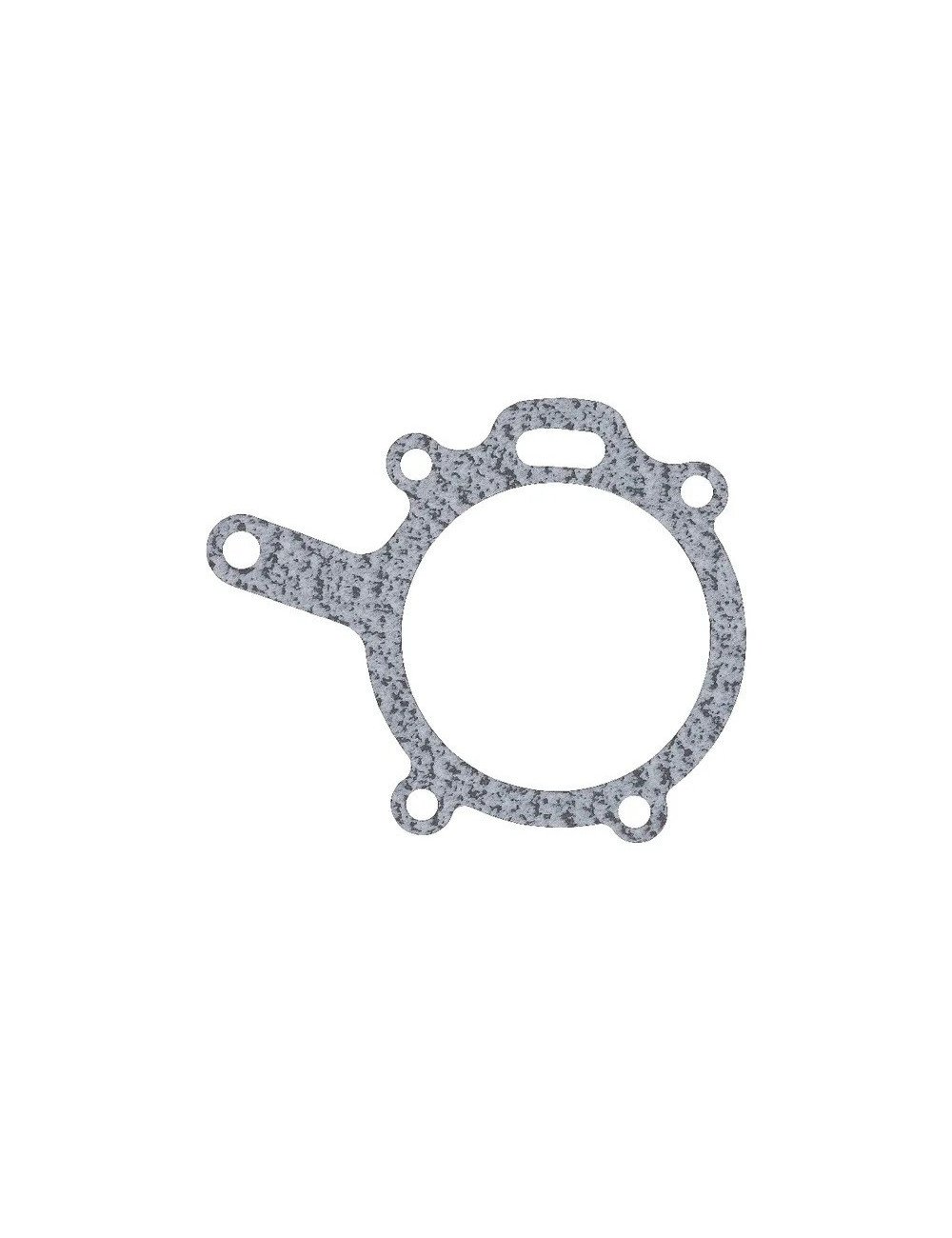 Garnitura Agco 4224709M1 original, pentru pompa de apa Garnitura Agco 4224709M1 original, pentru pompa de apa