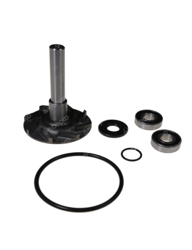 Set reparatie 41100060801 pentru pompa apa Steyr