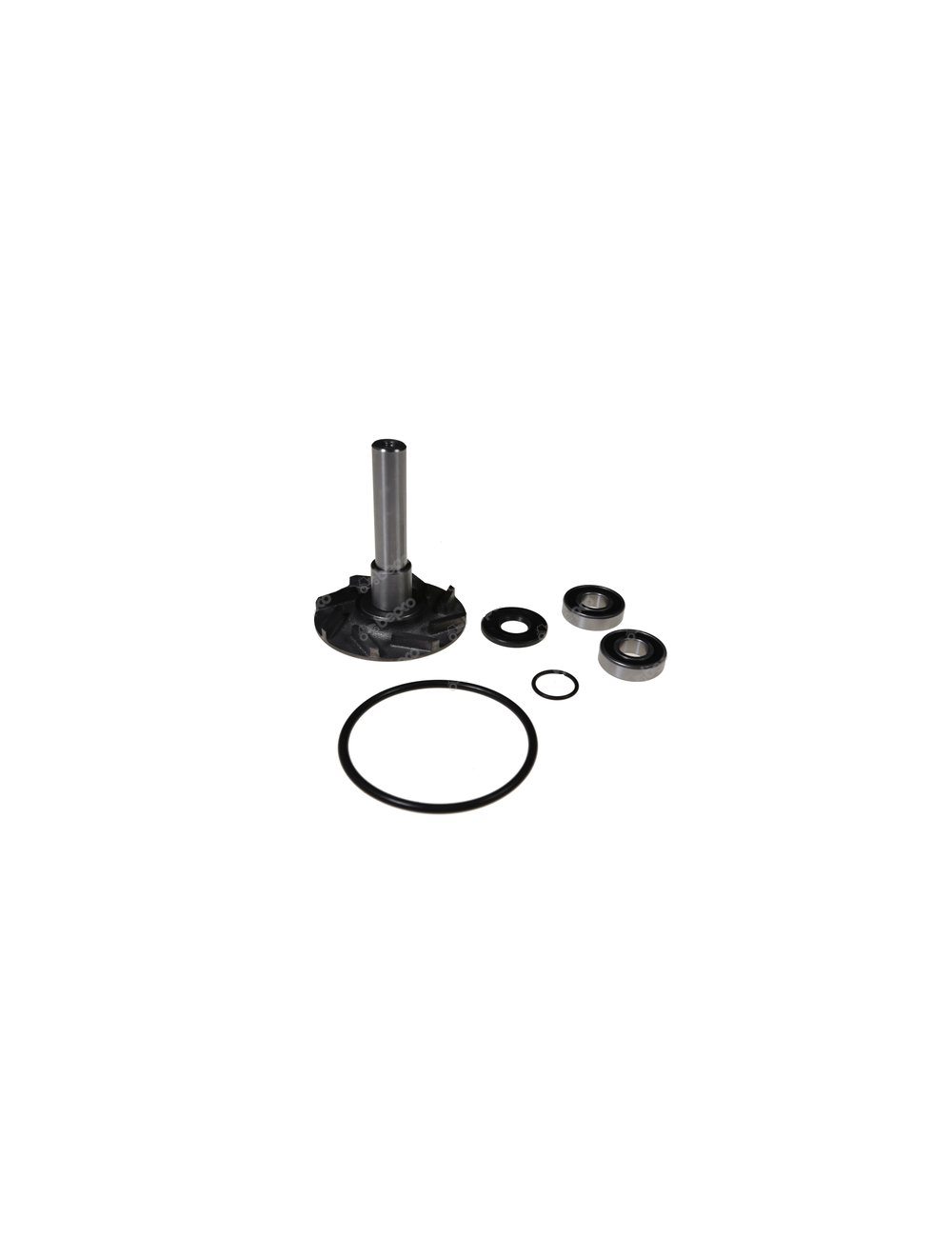 Set reparatie 41100060801 pentru pompa apa Steyr