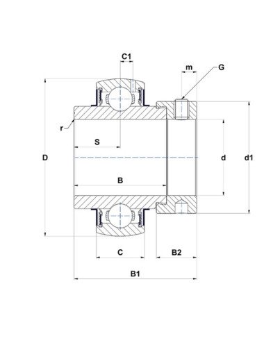 Rulment SNR EX308G2