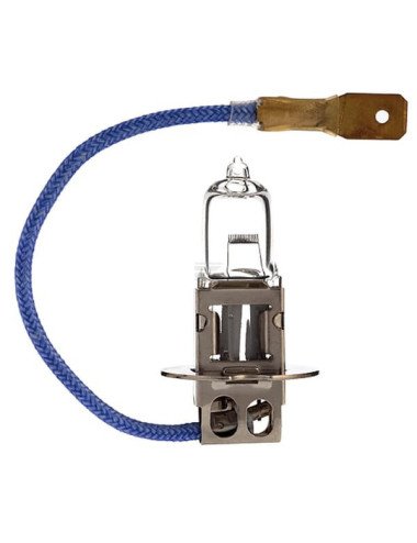 Bec H3 12V 100W PK22s